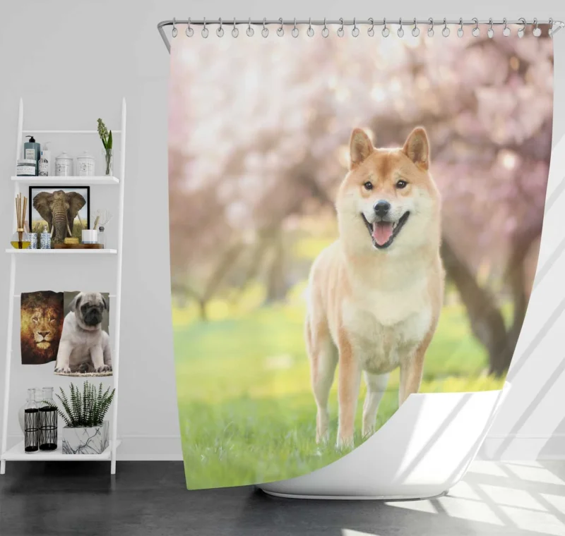 Dreamy Depth of Field: Shiba Inu Quartet Shower Curtain