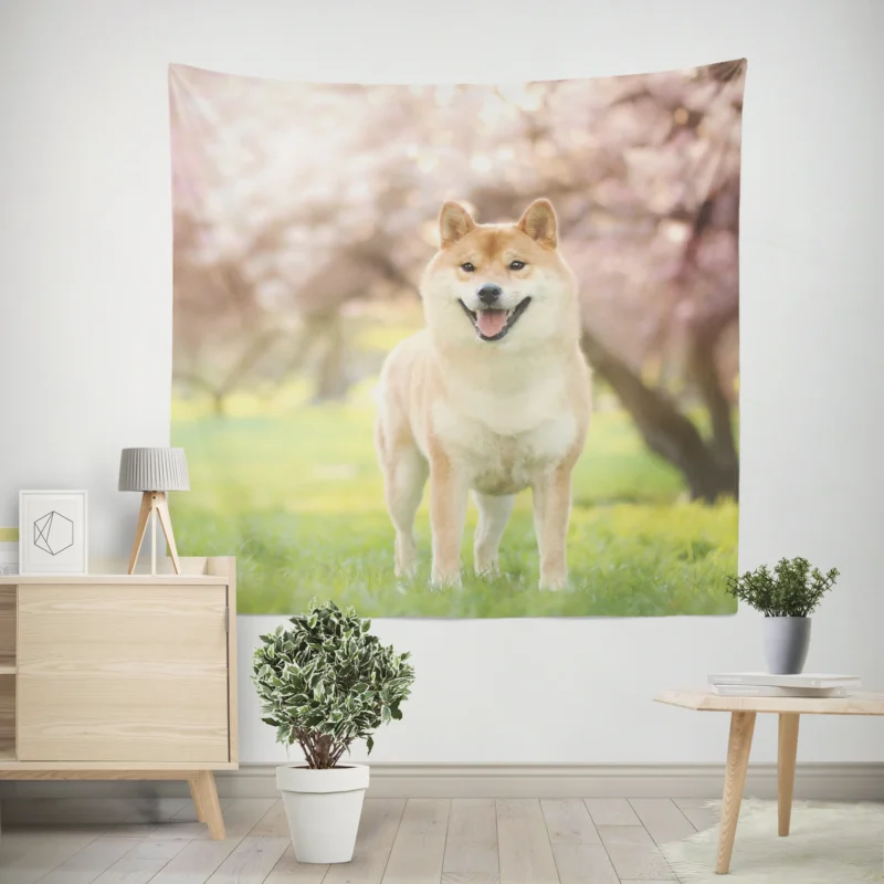 Dreamy Depth of Field  Shiba Inu Quartet Wall Tapestry