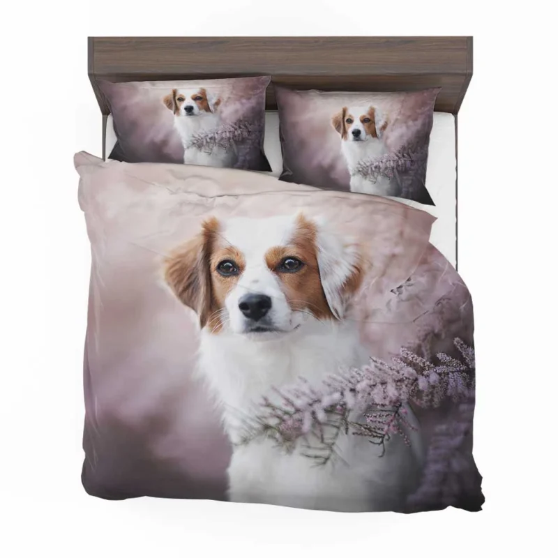 Dutch Canine Beauties: Kooikerhondje Quartet Bedding Set 1