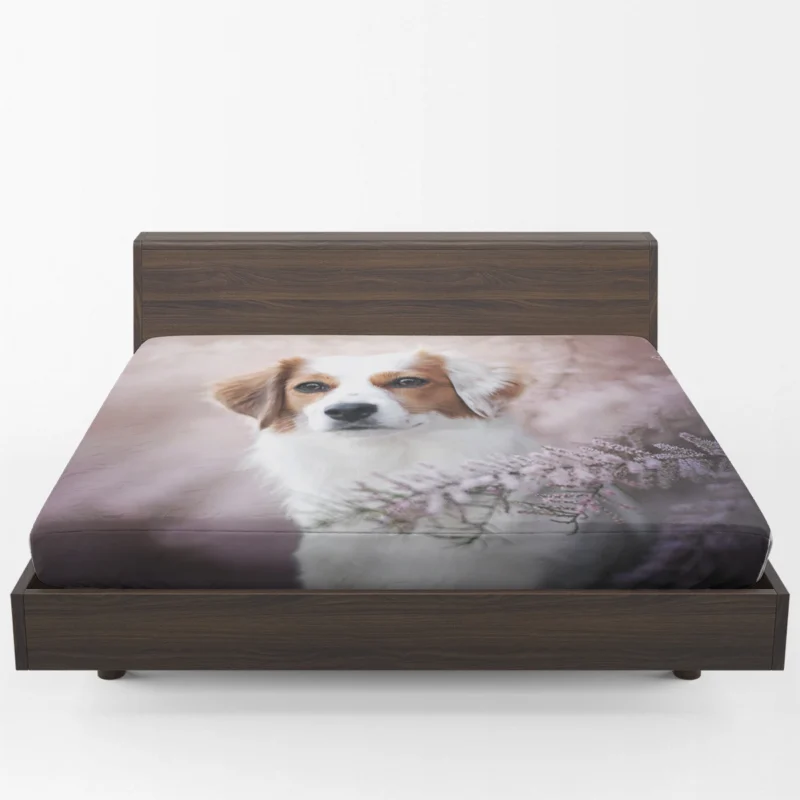 Dutch Canine Beauties: Kooikerhondje Quartet Fitted Sheet 1