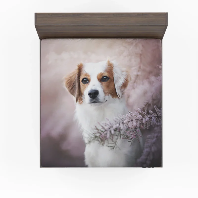 Dutch Canine Beauties: Kooikerhondje Quartet Fitted Sheet