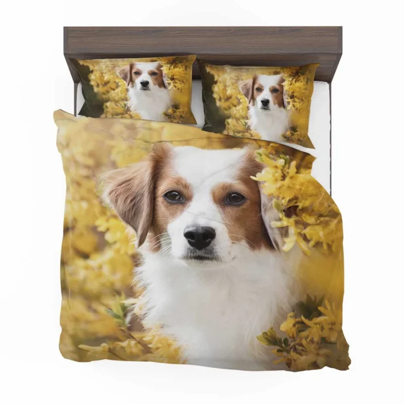 Dutch Canine Charm: Kooikerhondje Quartet Bedding Set 1