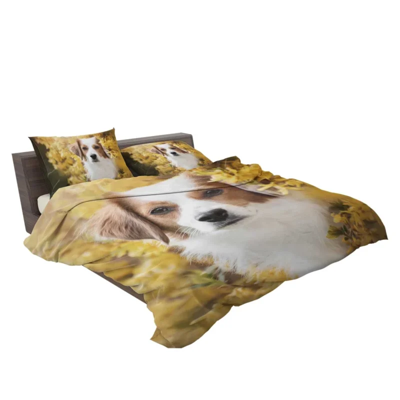 Dutch Canine Charm: Kooikerhondje Quartet Bedding Set 2