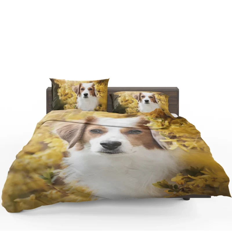 Dutch Canine Charm: Kooikerhondje Quartet Bedding Set