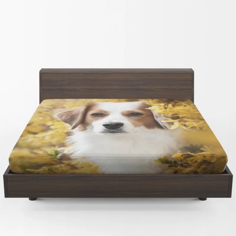 Dutch Canine Charm: Kooikerhondje Quartet Fitted Sheet 1