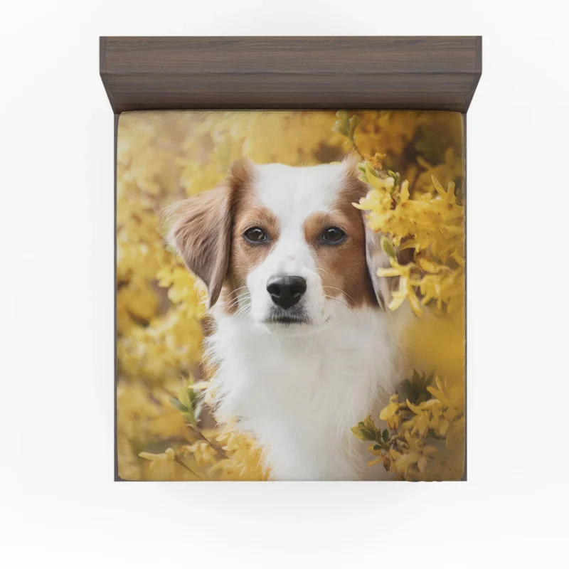 Dutch Canine Charm: Kooikerhondje Quartet Fitted Sheet