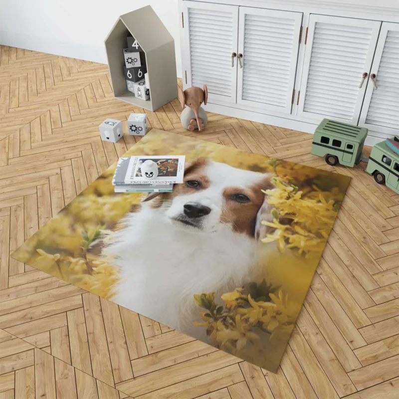 Dutch Canine Charm: Kooikerhondje Quartet Floor Rug 1