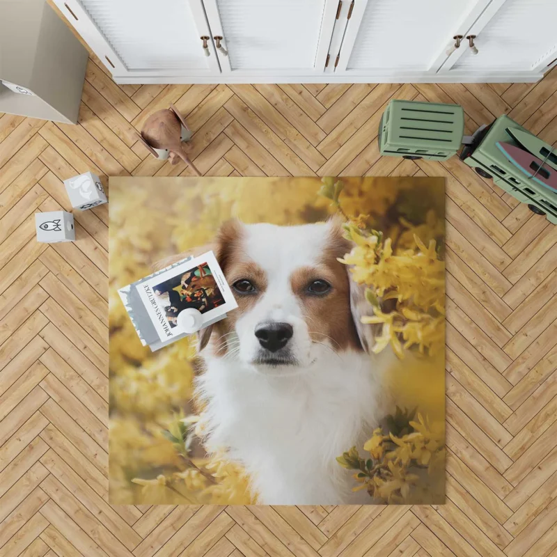 Dutch Canine Charm: Kooikerhondje Quartet Floor Rug