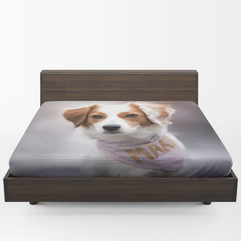 Dutch Canine Delights: Kooikerhondje Beauty Quartet Fitted Sheet 1