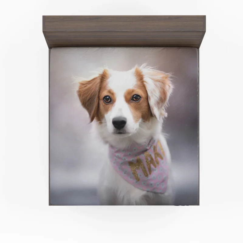 Dutch Canine Delights: Kooikerhondje Beauty Quartet Fitted Sheet