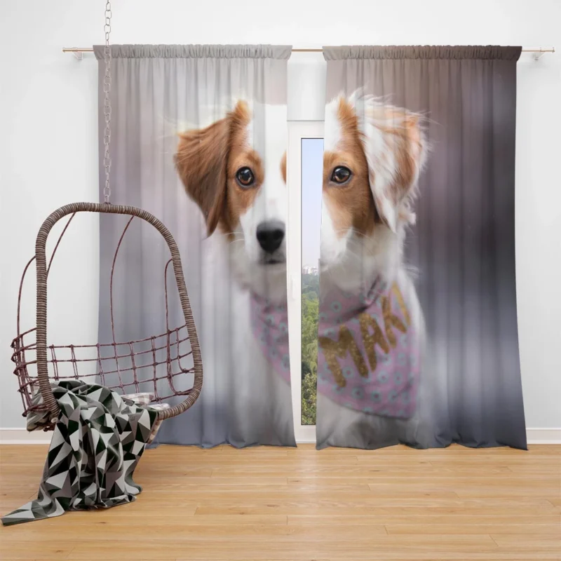 Dutch Canine Delights: Kooikerhondje Beauty Quartet Window Curtain