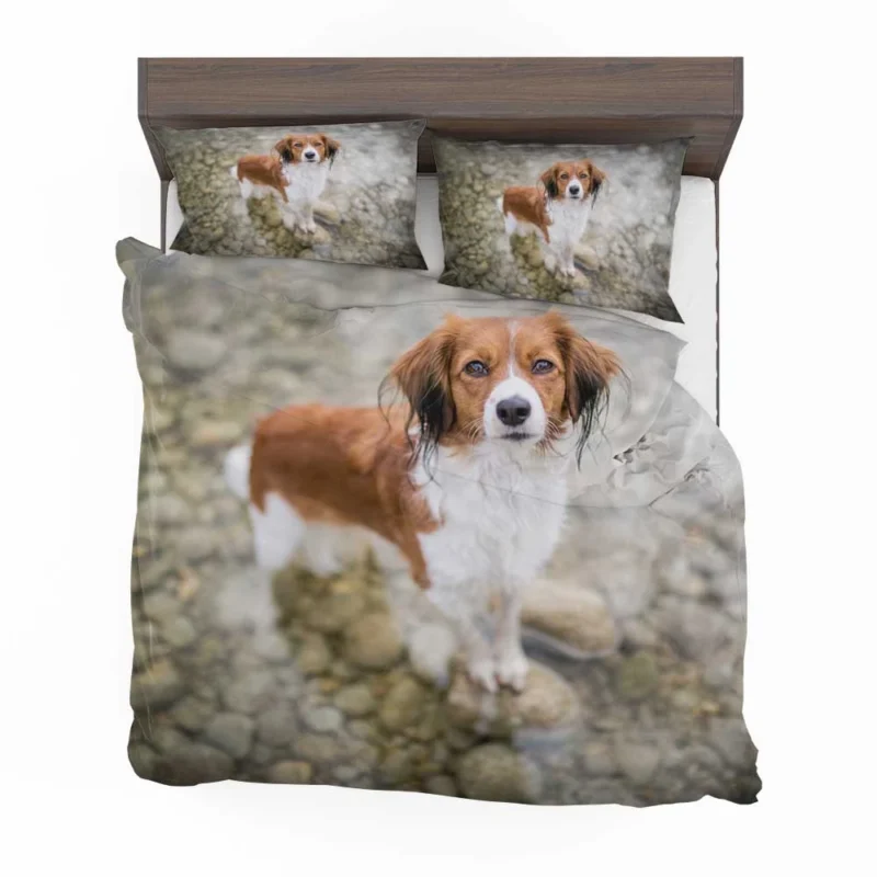 Dutch Canine Delights: Kooikerhondje Quartet Bedding Set 1