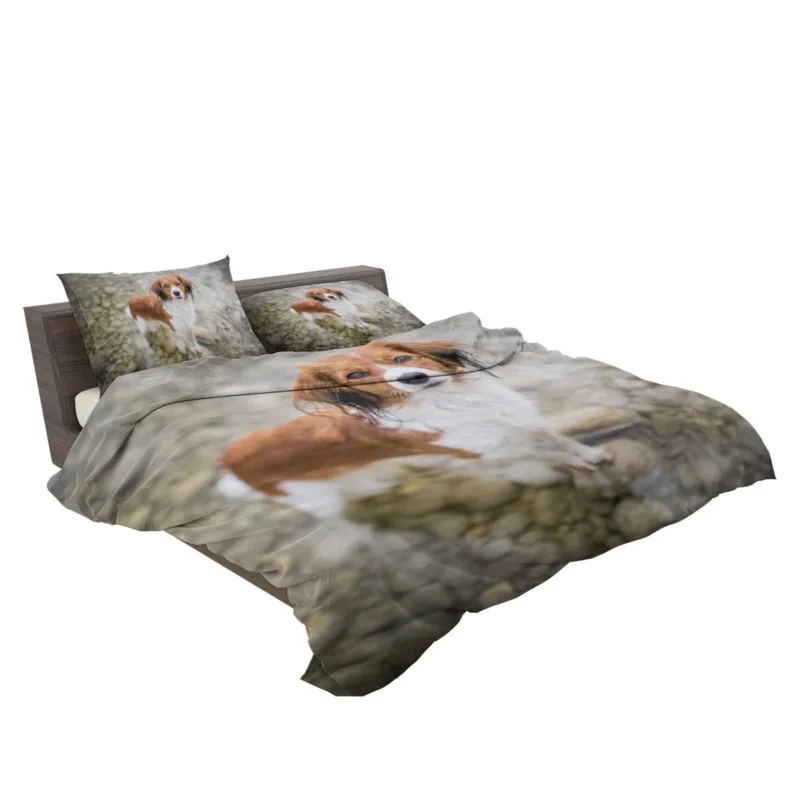 Dutch Canine Delights: Kooikerhondje Quartet Bedding Set 2