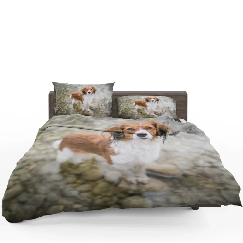 Dutch Canine Delights: Kooikerhondje Quartet Bedding Set