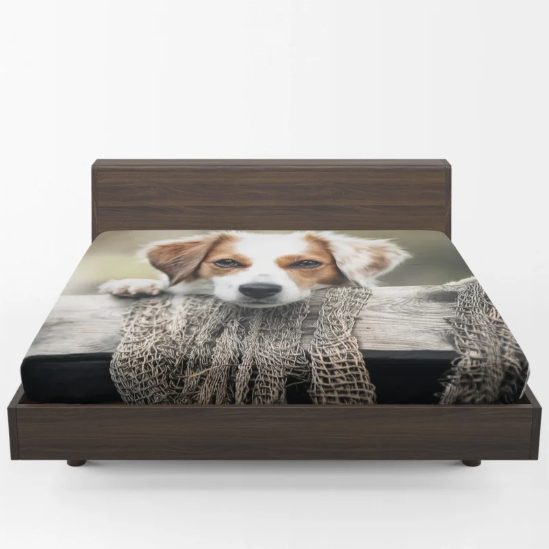 Dutch Delight: Maki the Kooikerhondje Puppy Fitted Sheet 1