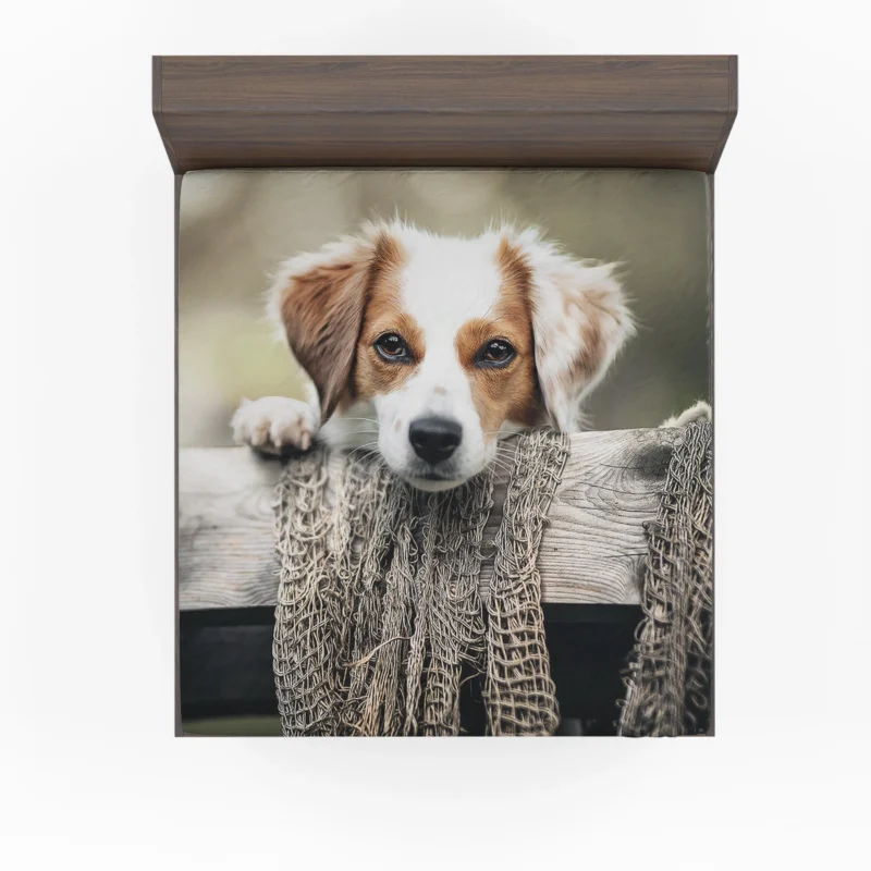 Dutch Delight: Maki the Kooikerhondje Puppy Fitted Sheet