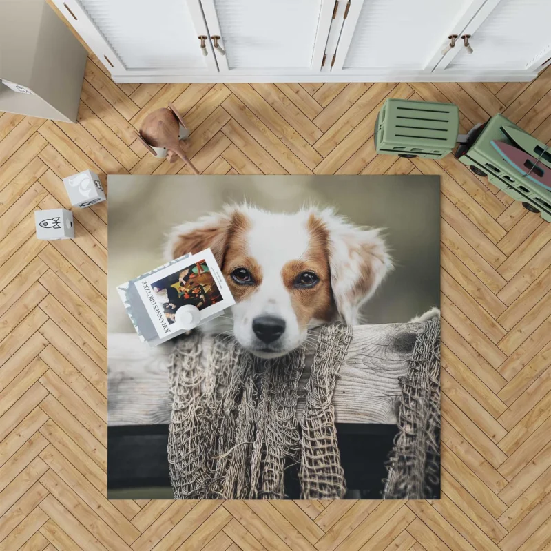 Dutch Delight: Maki the Kooikerhondje Puppy Floor Rug