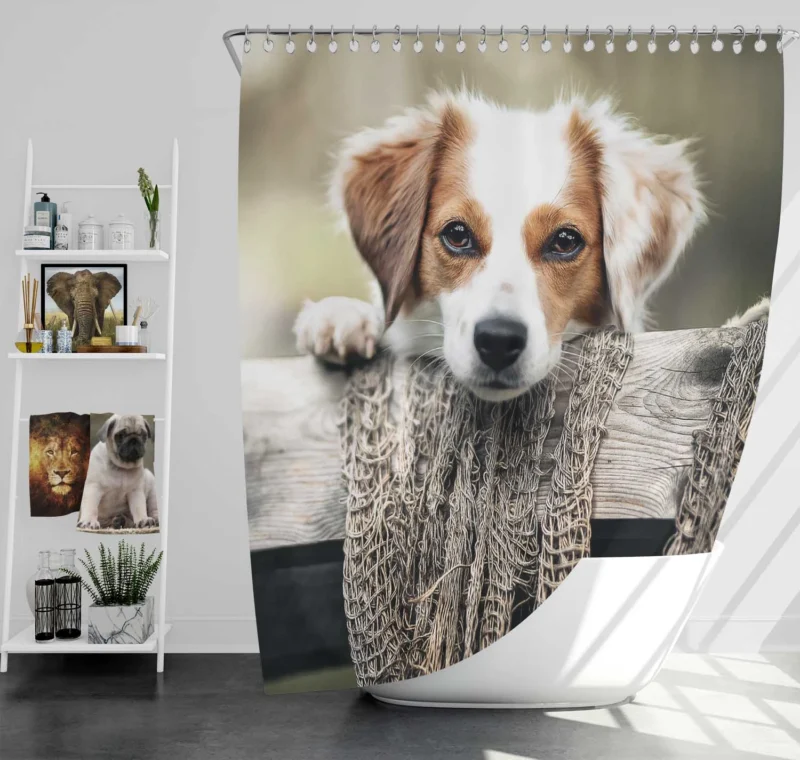 Dutch Delight: Maki the Kooikerhondje Puppy Shower Curtain