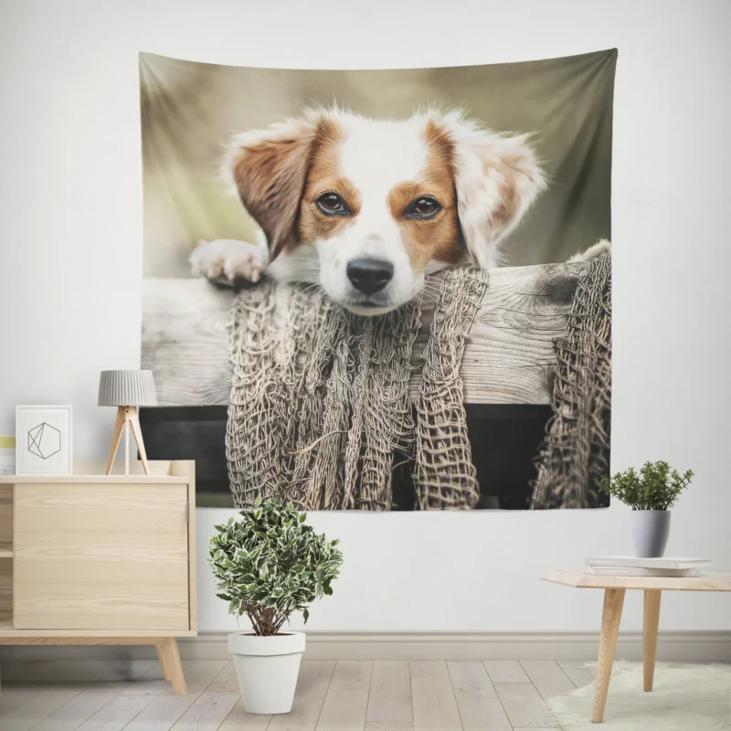 Dutch Delight  Maki the Kooikerhondje Puppy Wall Tapestry