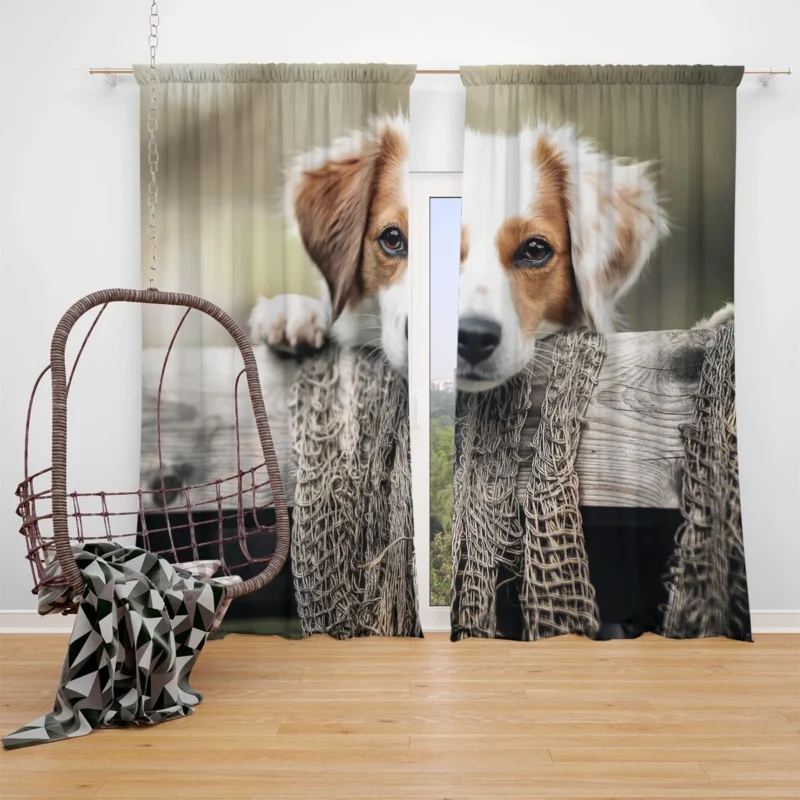 Dutch Delight: Maki the Kooikerhondje Puppy Window Curtain