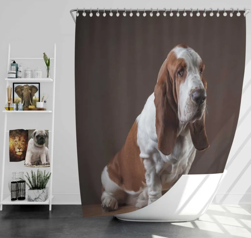 Ears and Canine Beauty: Basset Hound Shower Curtain