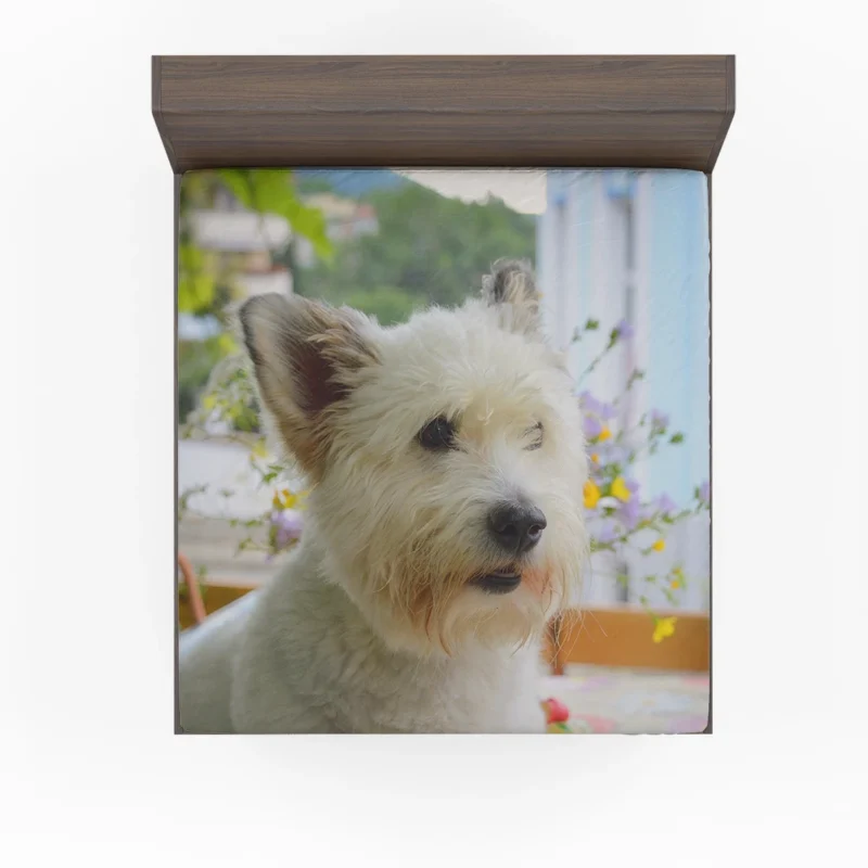 Elegance Galore: West Highland White Terrier Quartet Fitted Sheet 1