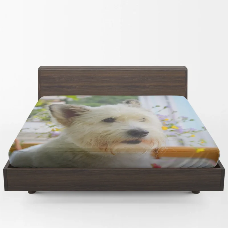 Elegance-Galore-West-Highland-White-Terrier-Quartet-Fitted-Sheet-2