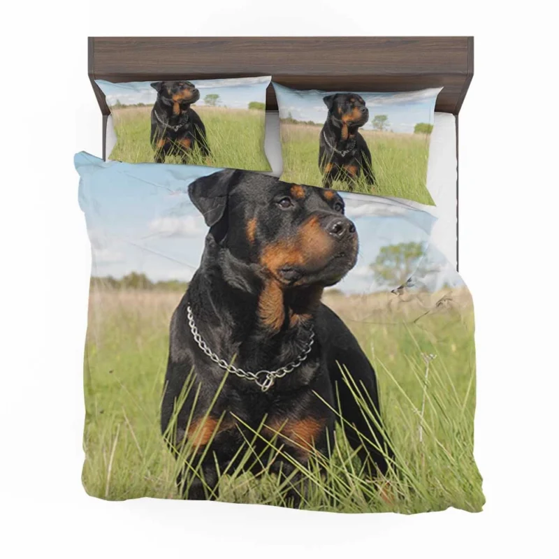 Elegance Unleashed: Fourfold Rottweiler Quartet Bedding Set 1