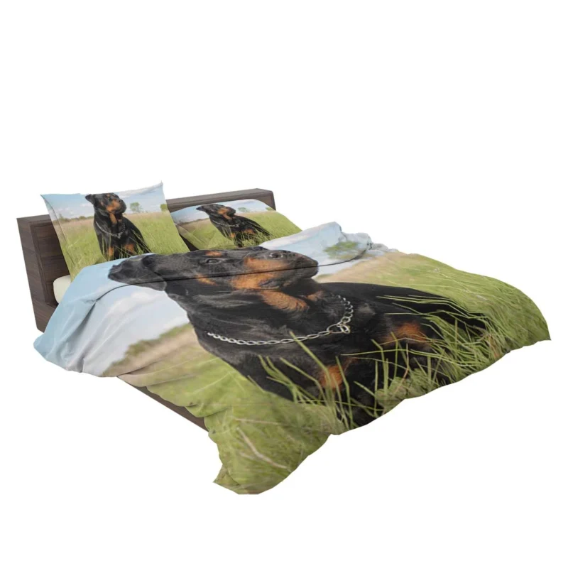 Elegance Unleashed: Fourfold Rottweiler Quartet Bedding Set 2