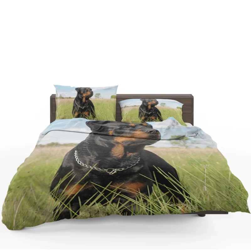 Elegance Unleashed: Fourfold Rottweiler Quartet Bedding Set