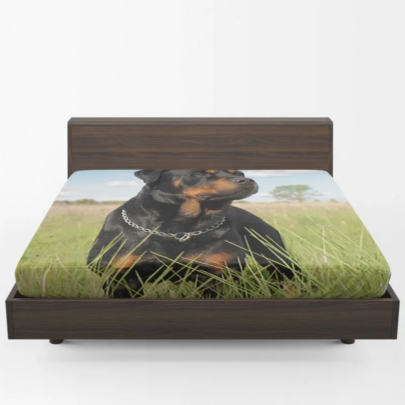 Elegance Unleashed: Fourfold Rottweiler Quartet Fitted Sheet 1