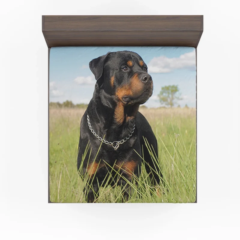 Elegance Unleashed: Fourfold Rottweiler Quartet Fitted Sheet