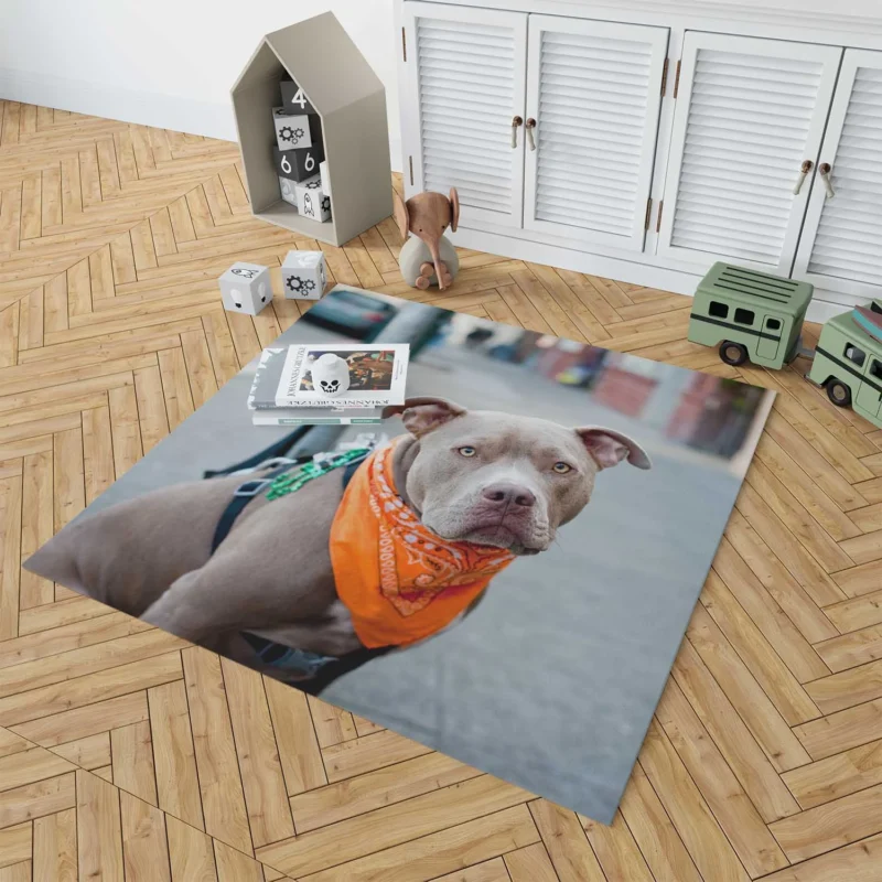 Elegance and Charm: Pit Bull Quartet Floor Rug 1