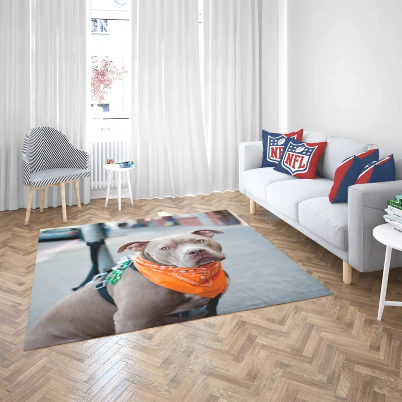 Elegance and Charm: Pit Bull Quartet Floor Rug 2