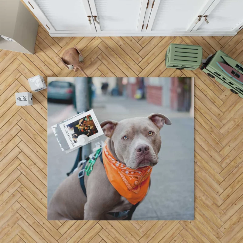 Elegance and Charm: Pit Bull Quartet Floor Rug