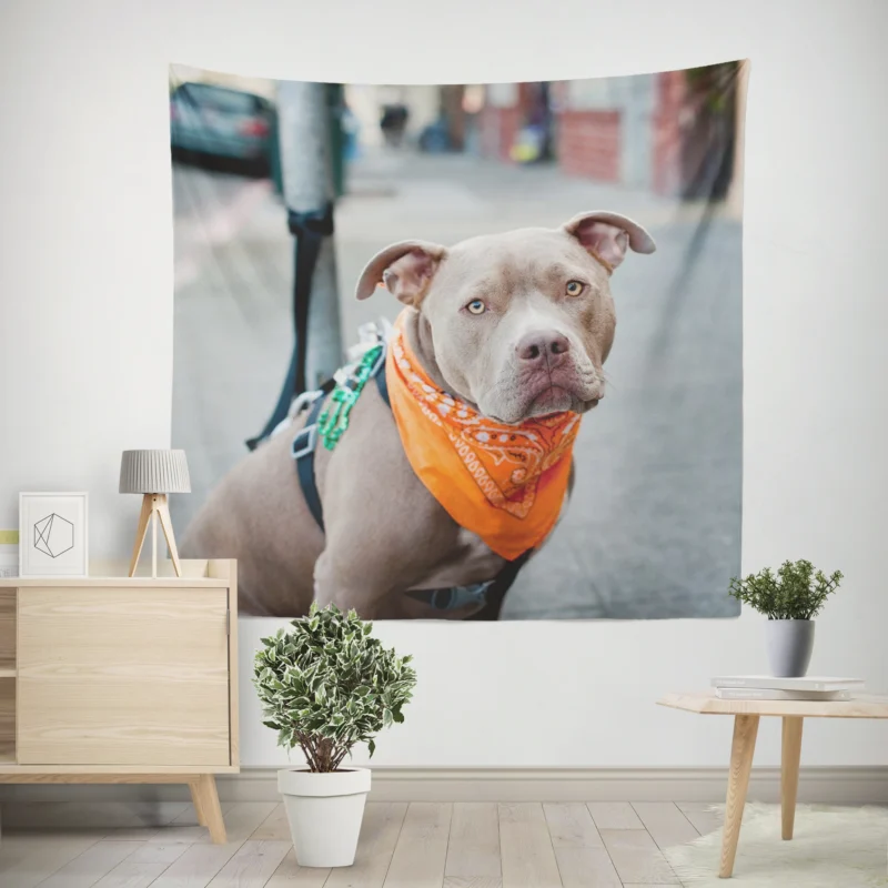 Elegance and Charm  Pit Bull Quartet Wall Tapestry