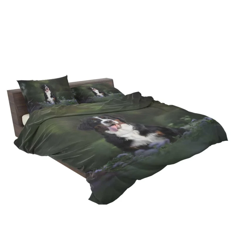 Elegance in Bernese Mountain Dog: Bernese Mountain Dog Bedding Set 2