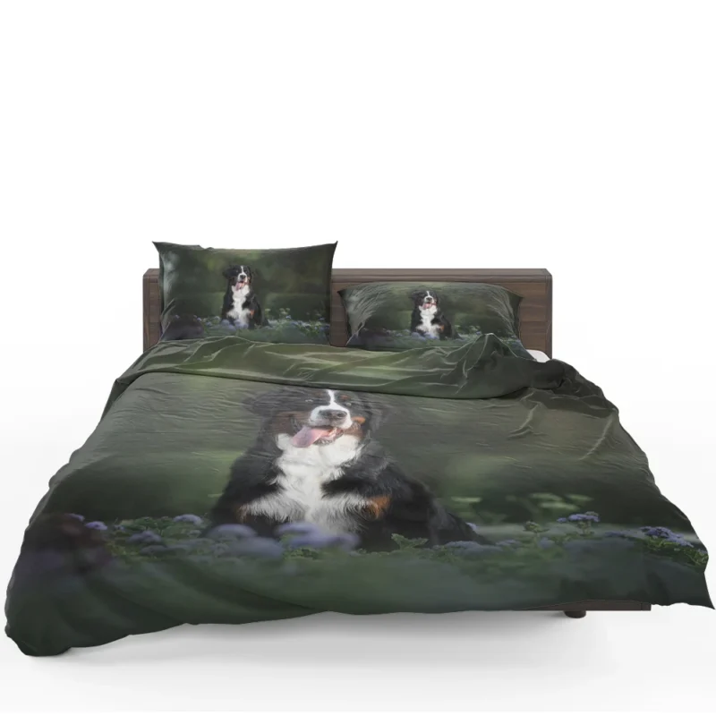 Elegance in Bernese Mountain Dog: Bernese Mountain Dog Bedding Set