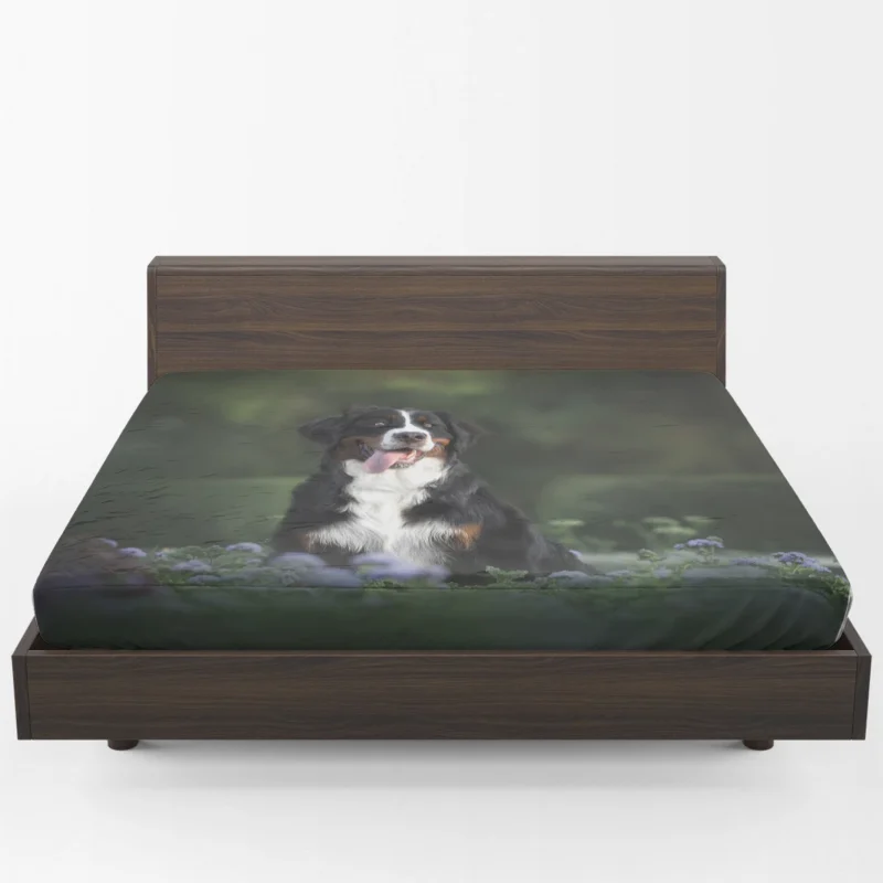 Elegance in Bernese Mountain Dog: Bernese Mountain Dog Fitted Sheet 1