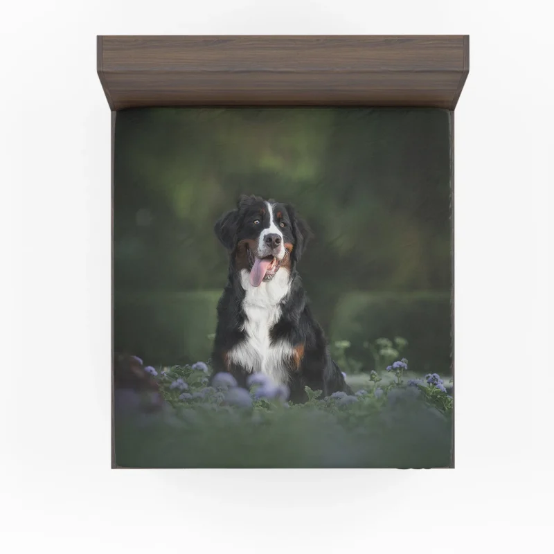 Elegance in Bernese Mountain Dog: Bernese Mountain Dog Fitted Sheet