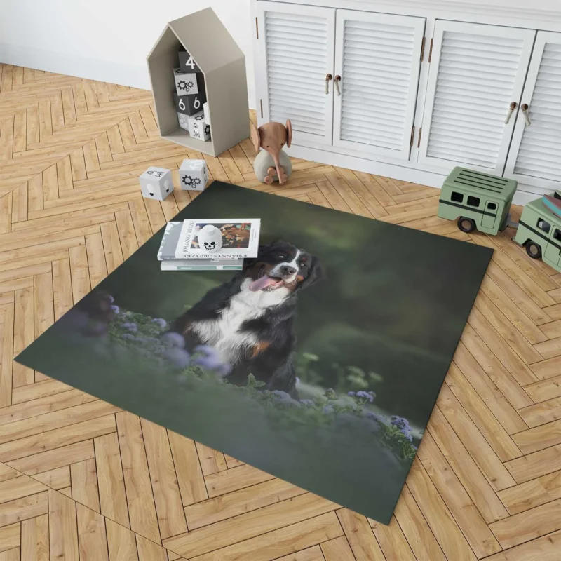 Elegance in Bernese Mountain Dog: Bernese Mountain Dog Floor Rug 1