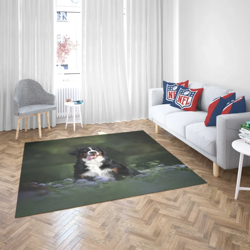 Elegance in Bernese Mountain Dog: Bernese Mountain Dog Floor Rug 2