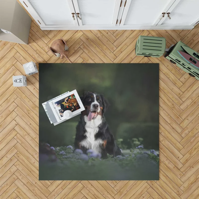 Elegance in Bernese Mountain Dog: Bernese Mountain Dog Floor Rug