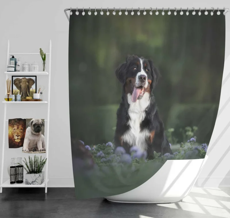 Elegance in Bernese Mountain Dog: Bernese Mountain Dog Shower Curtain