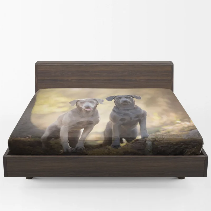 Elegance in Bloom: Weimaraner Quartet Fitted Sheet 1