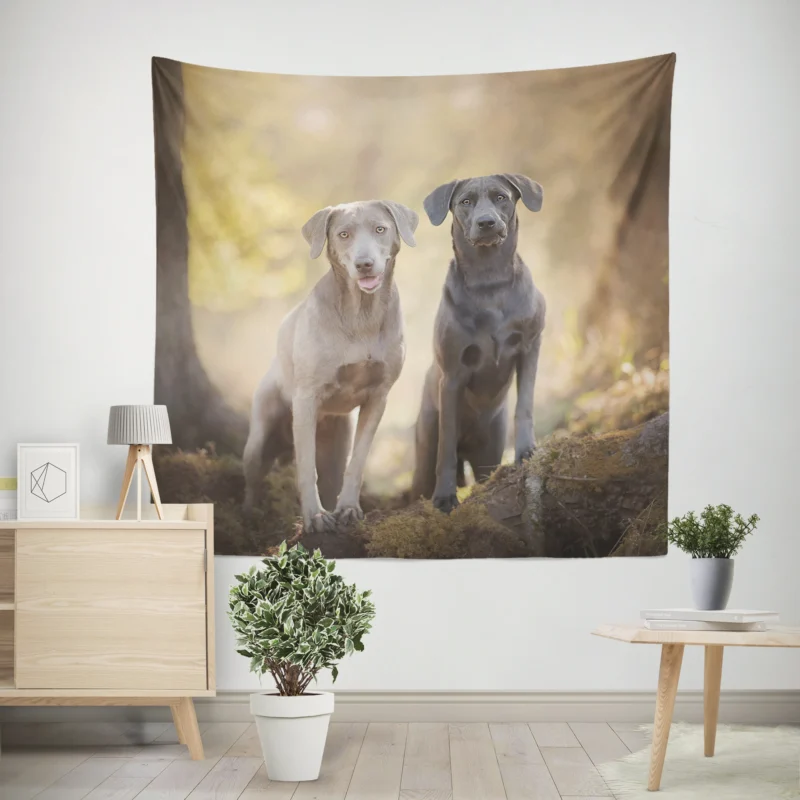 Elegance in Bloom  Weimaraner Quartet Wall Tapestry