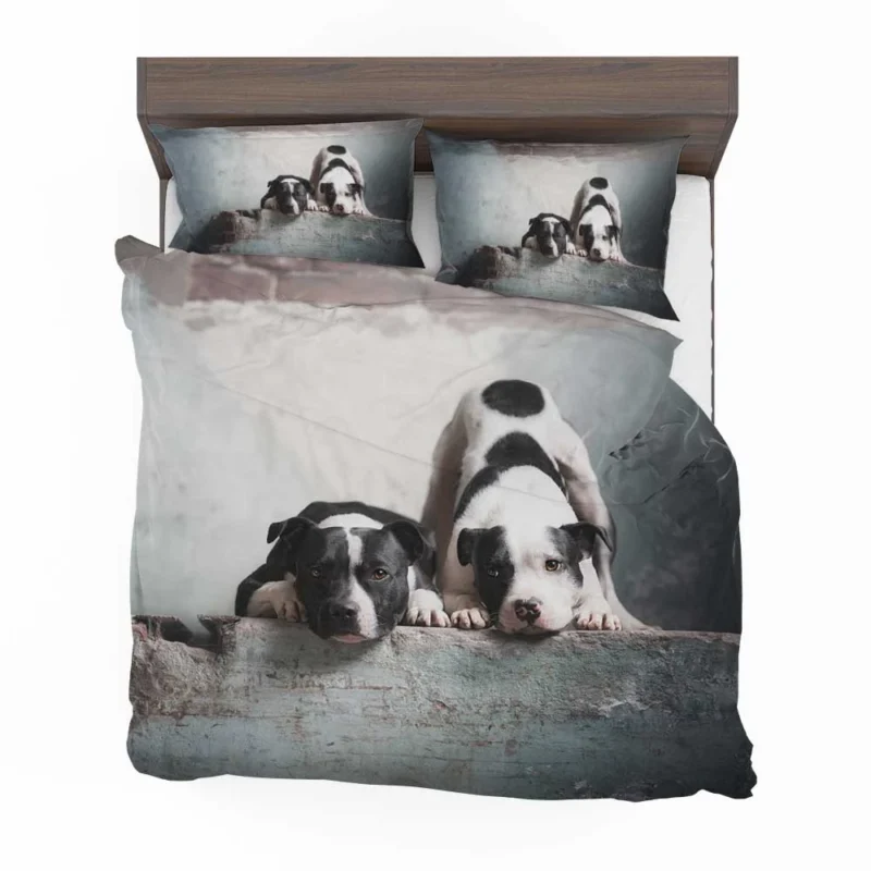 Elegance in Fourfold: American Pit Bull Terrier Quartet Bedding Set 1