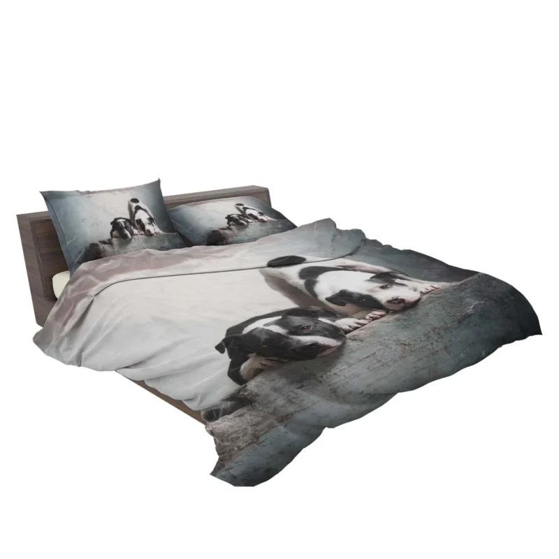 Elegance in Fourfold: American Pit Bull Terrier Quartet Bedding Set 2