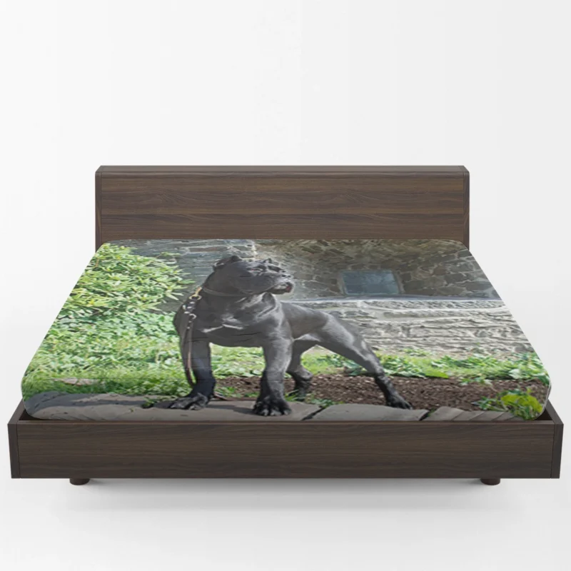 Elegance in Fourfold: Cane Corso Quartet Fitted Sheet 1