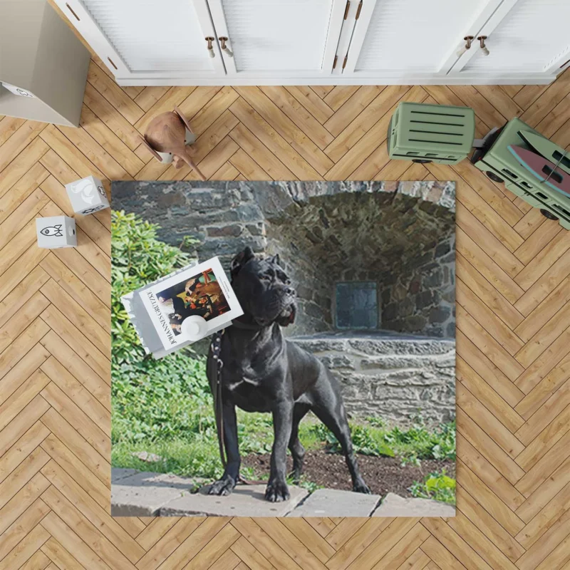 Elegance in Fourfold: Cane Corso Quartet Floor Rug